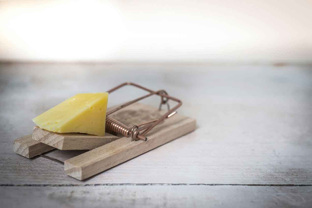 Dont get caught in a trap. Employers Liability Insurance.