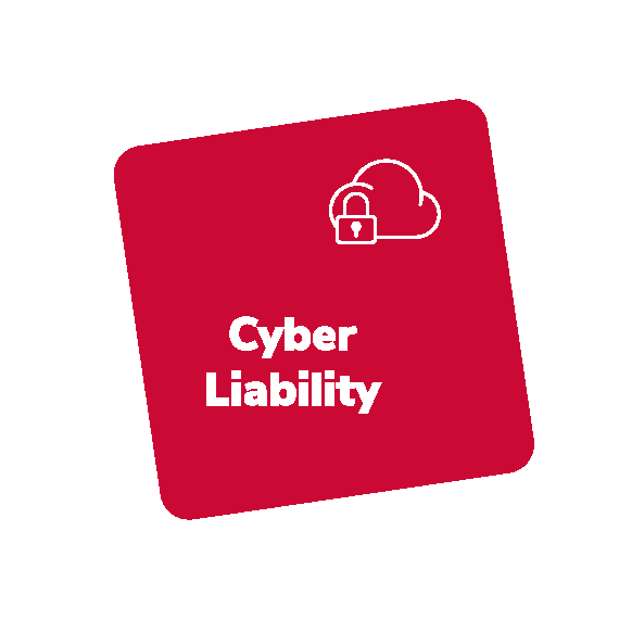 Cyber liability insurance for children's and youth charities